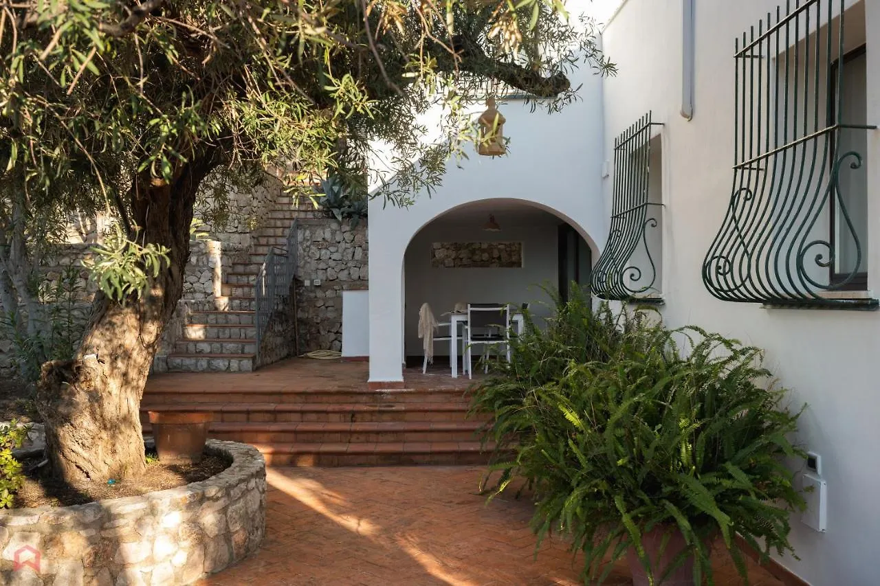 Stunning Seaview Villa Altavilla Milicia İtalya